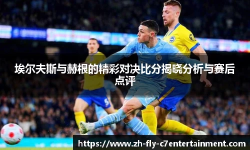 埃尔夫斯与赫根的精彩对决比分揭晓分析与赛后点评