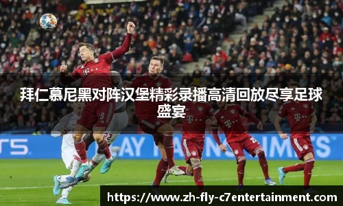 拜仁慕尼黑对阵汉堡精彩录播高清回放尽享足球盛宴